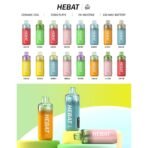 Hebat喜貝拋棄式15000口